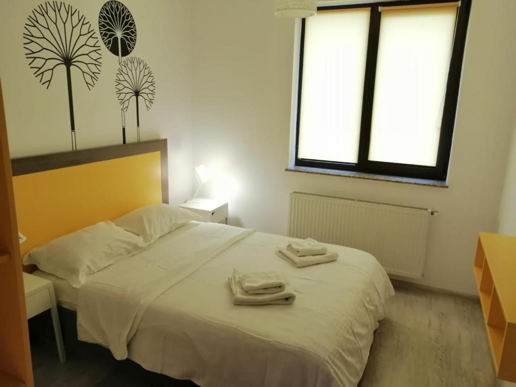 Urban Apartments And Studios - City Center Iasi Room photo